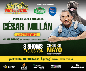 BANNER STAMPAS 300x250 copy.jpg