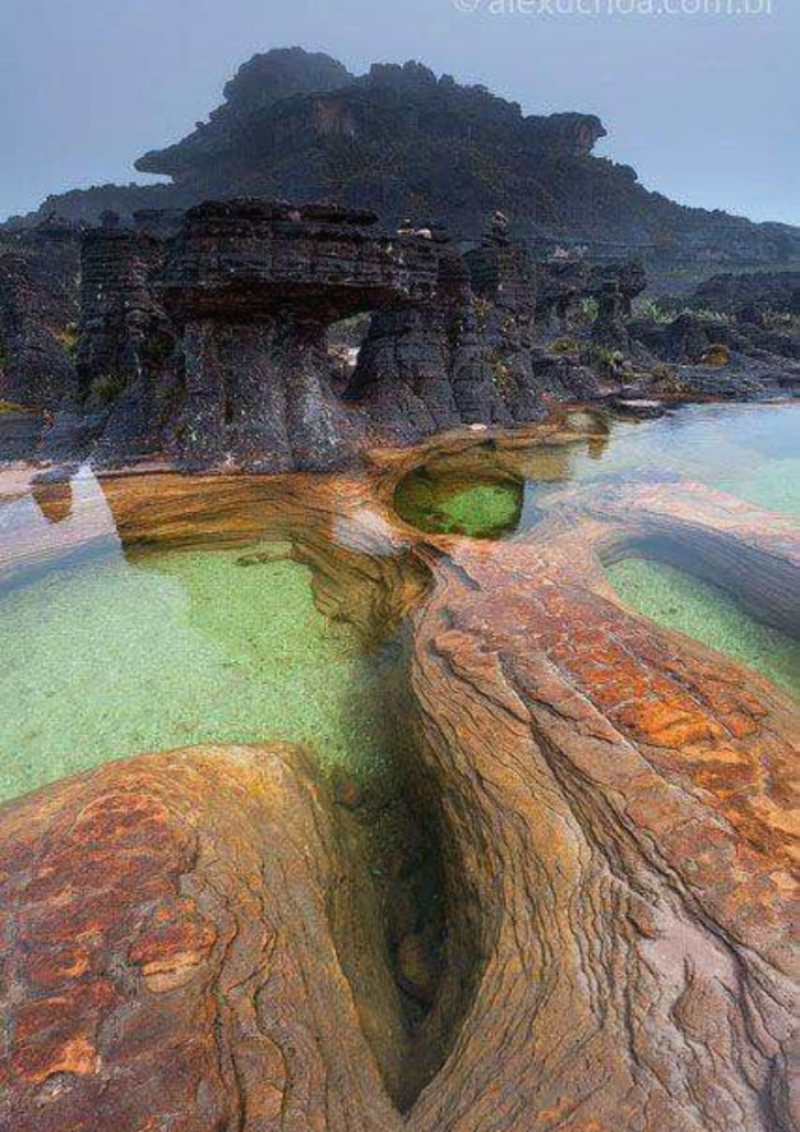 Sumergirse en ellas te conecta directamente con la naturaleza