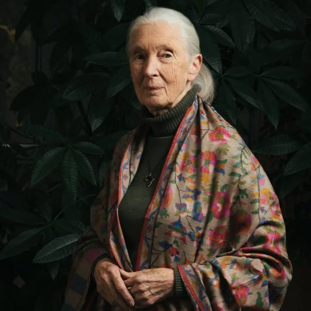 Jane Goodall fue una ferviente defensora del ambiente La primatóloga británica